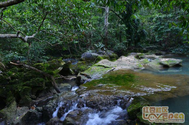 （新春走基层）重庆一夜市百余名摊主端出拿手菜免费待客